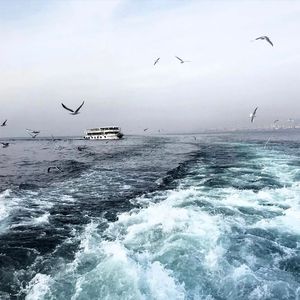 我爱搞52G,abb_u3m8下载方法
