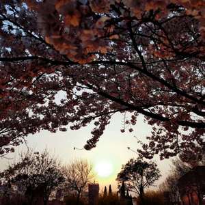 我爱搞52G,abb_u3m8下载方法
